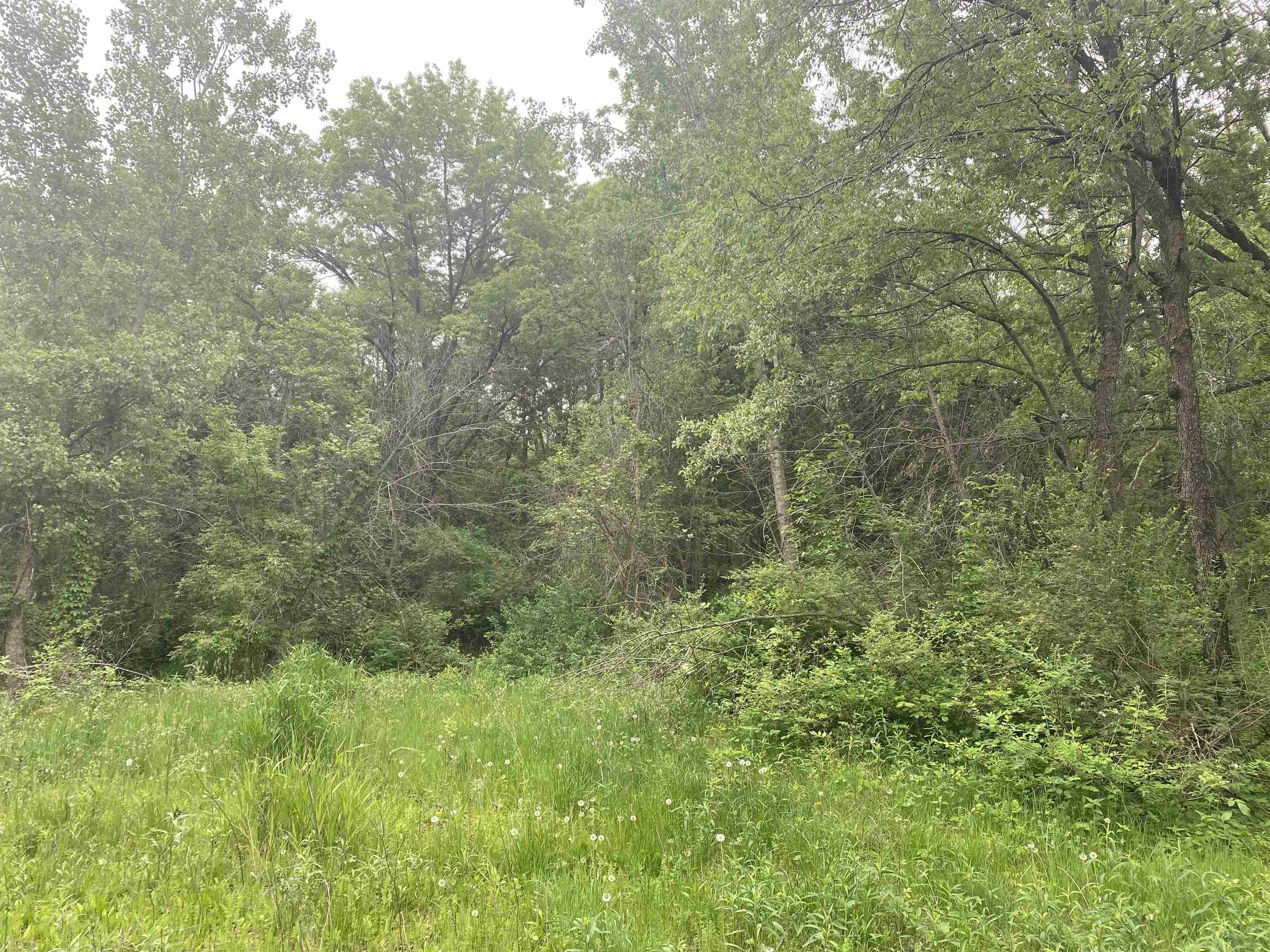 940 Calhoun Drive Platteville, WI 53818 - Photo 5 of 9