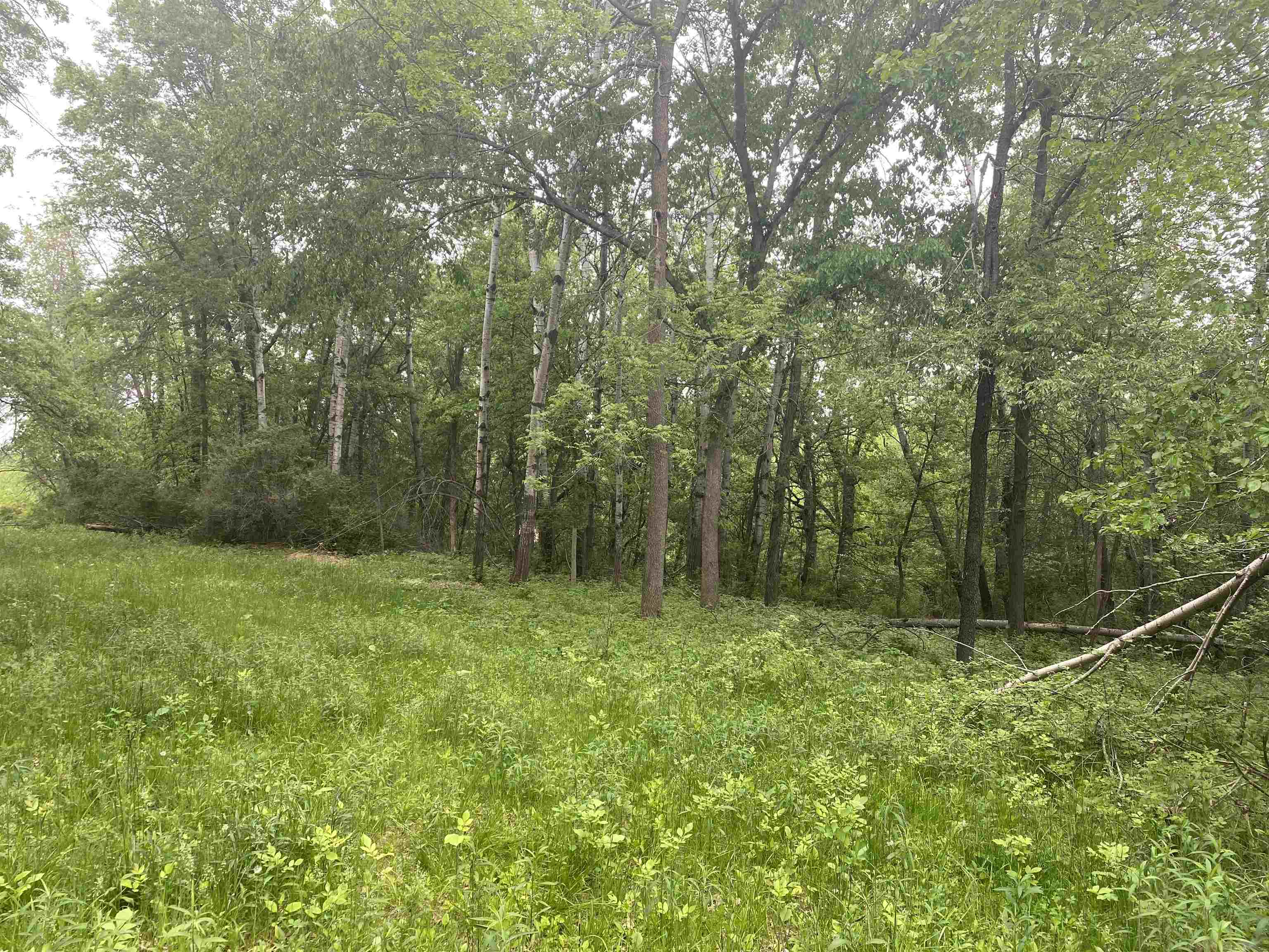 940 Calhoun Drive Platteville, WI 53818 - Photo 6 of 9