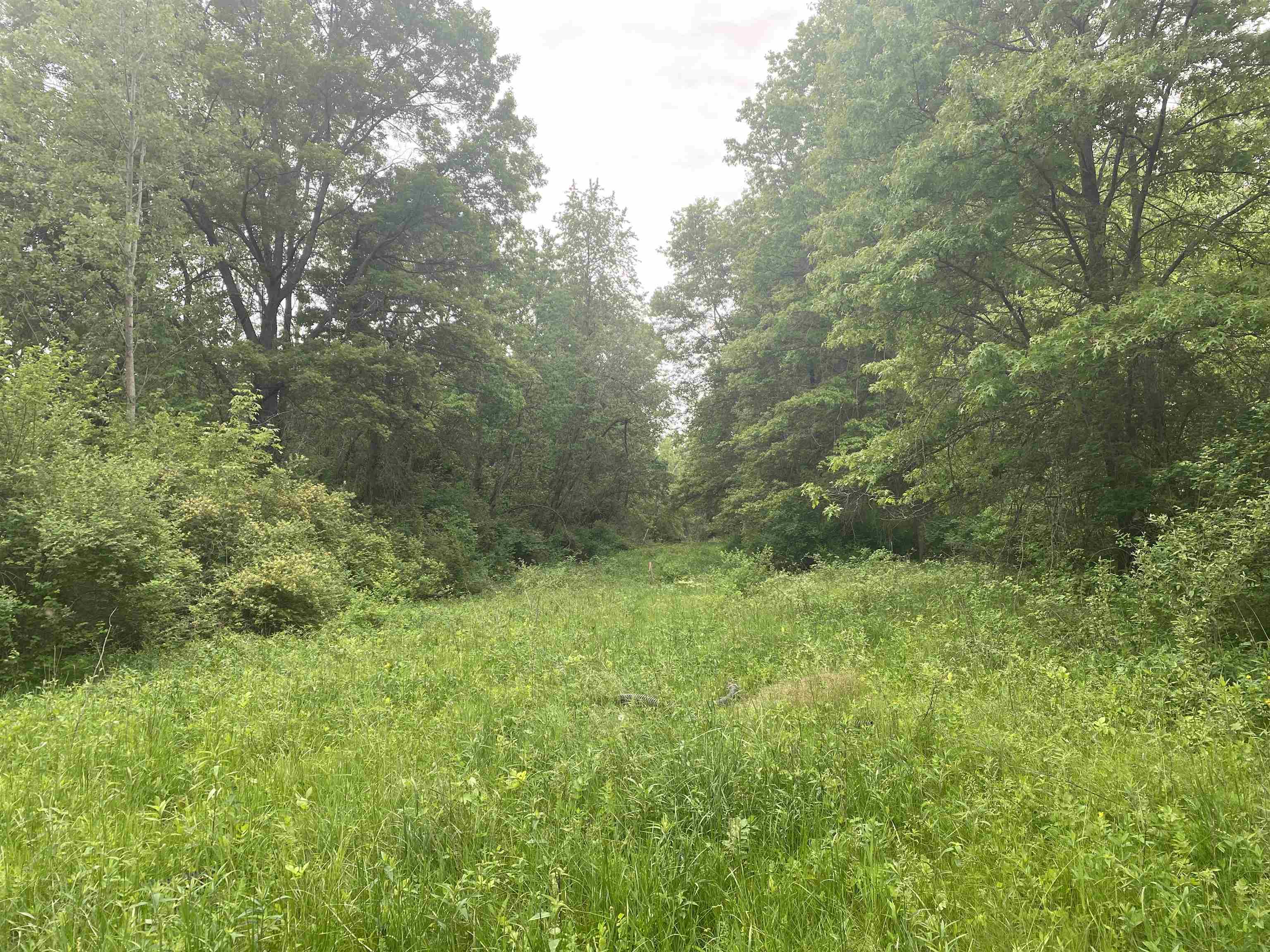 940 Calhoun Drive Platteville, WI 53818 - Photo 8 of 9