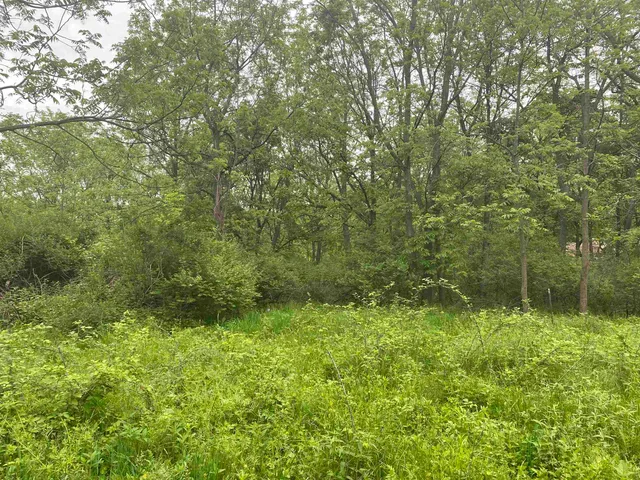 $199,000 | 940 Calhoun Drive, Platteville, WI 53818