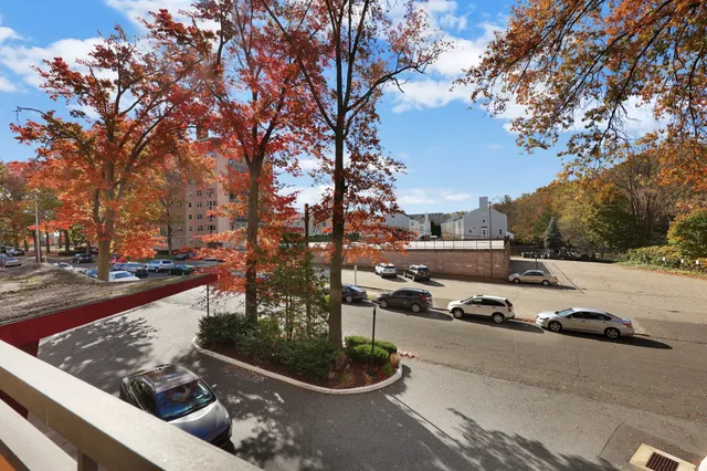 a view of a street with a bench and trees
