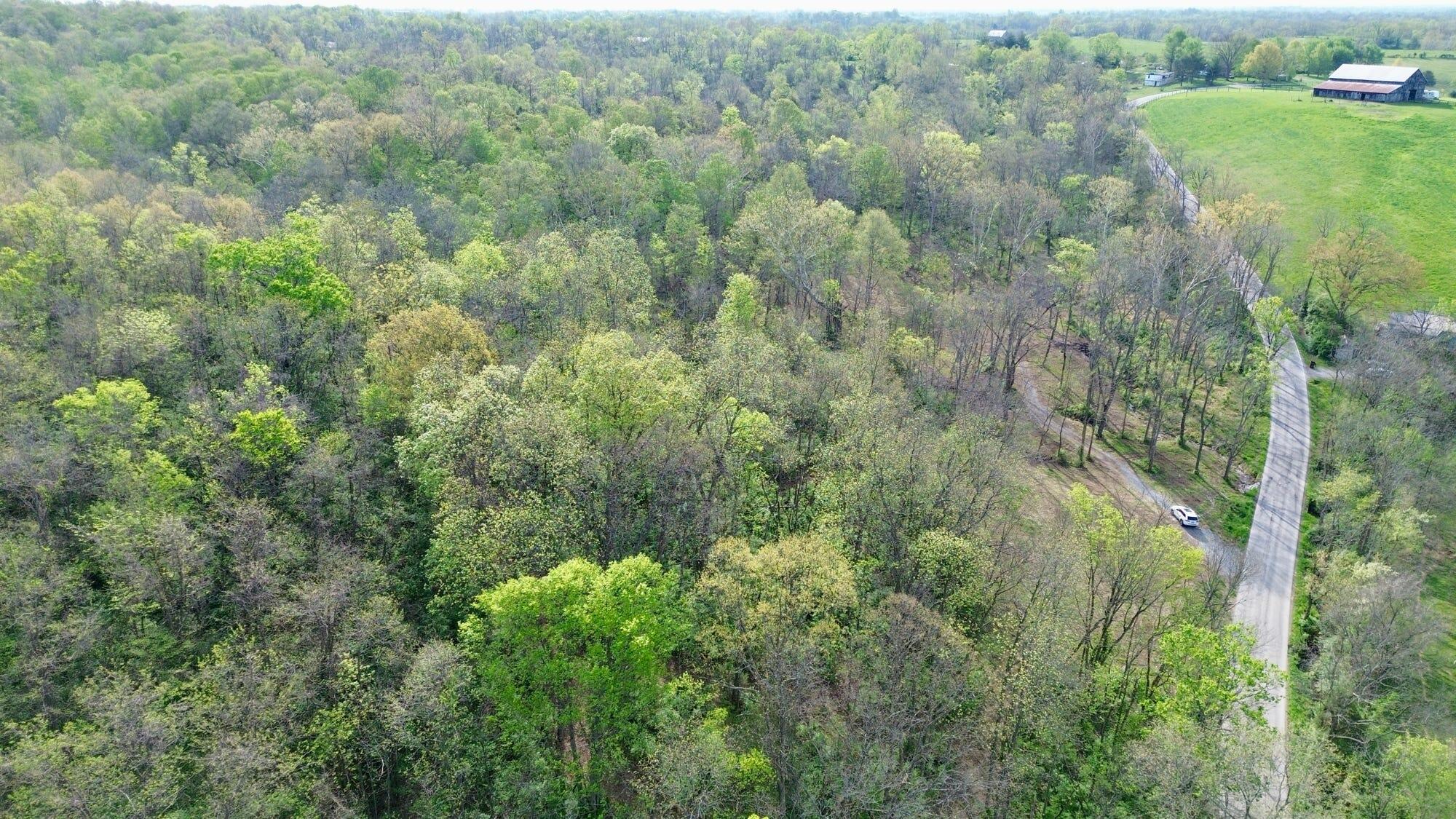 24 East Union Road Carlisle, KY 40311 - Photo 23 of 52 Trees