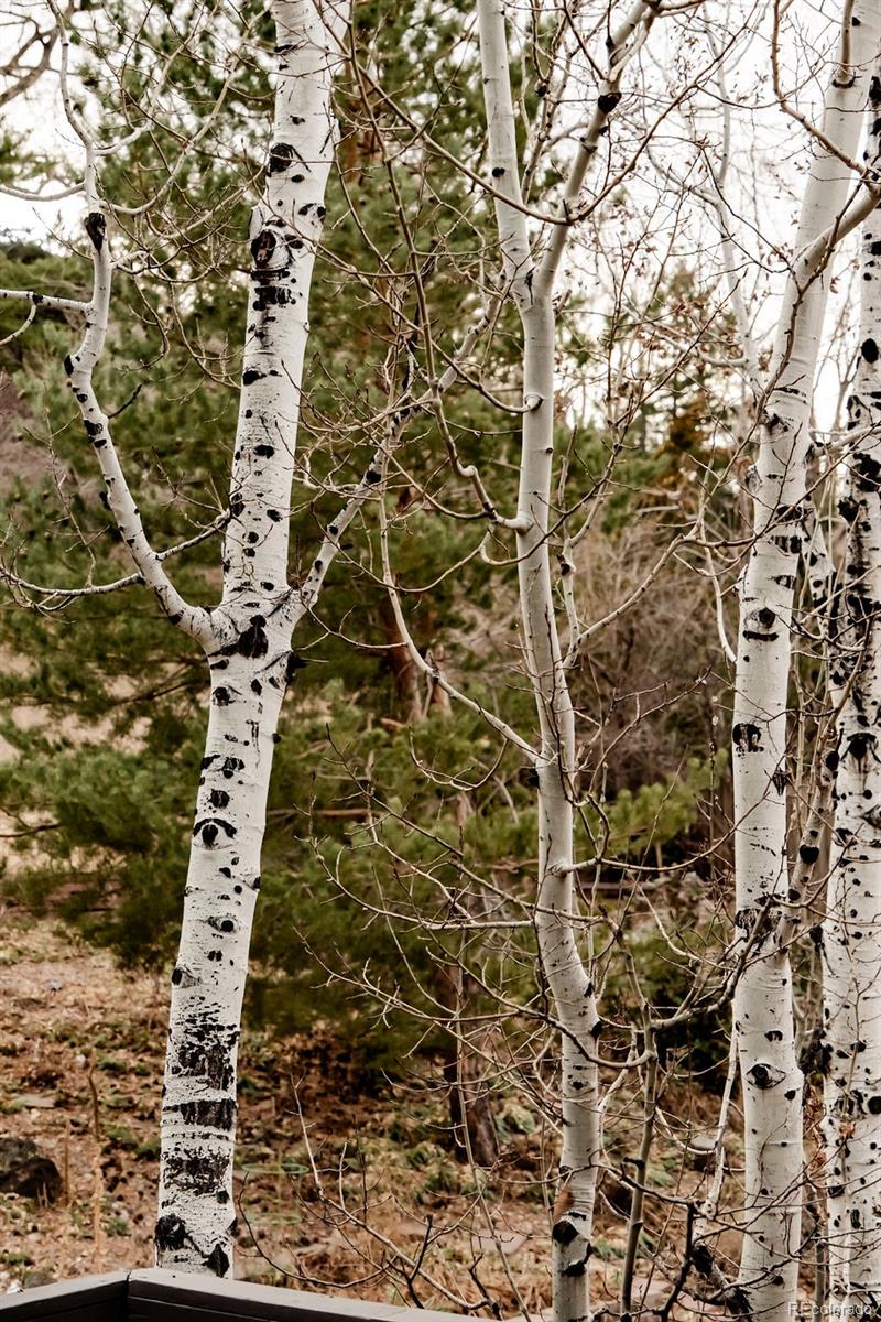 3048 Vivian Street Wheat Ridge, CO 80215 - Photo 26 of 30