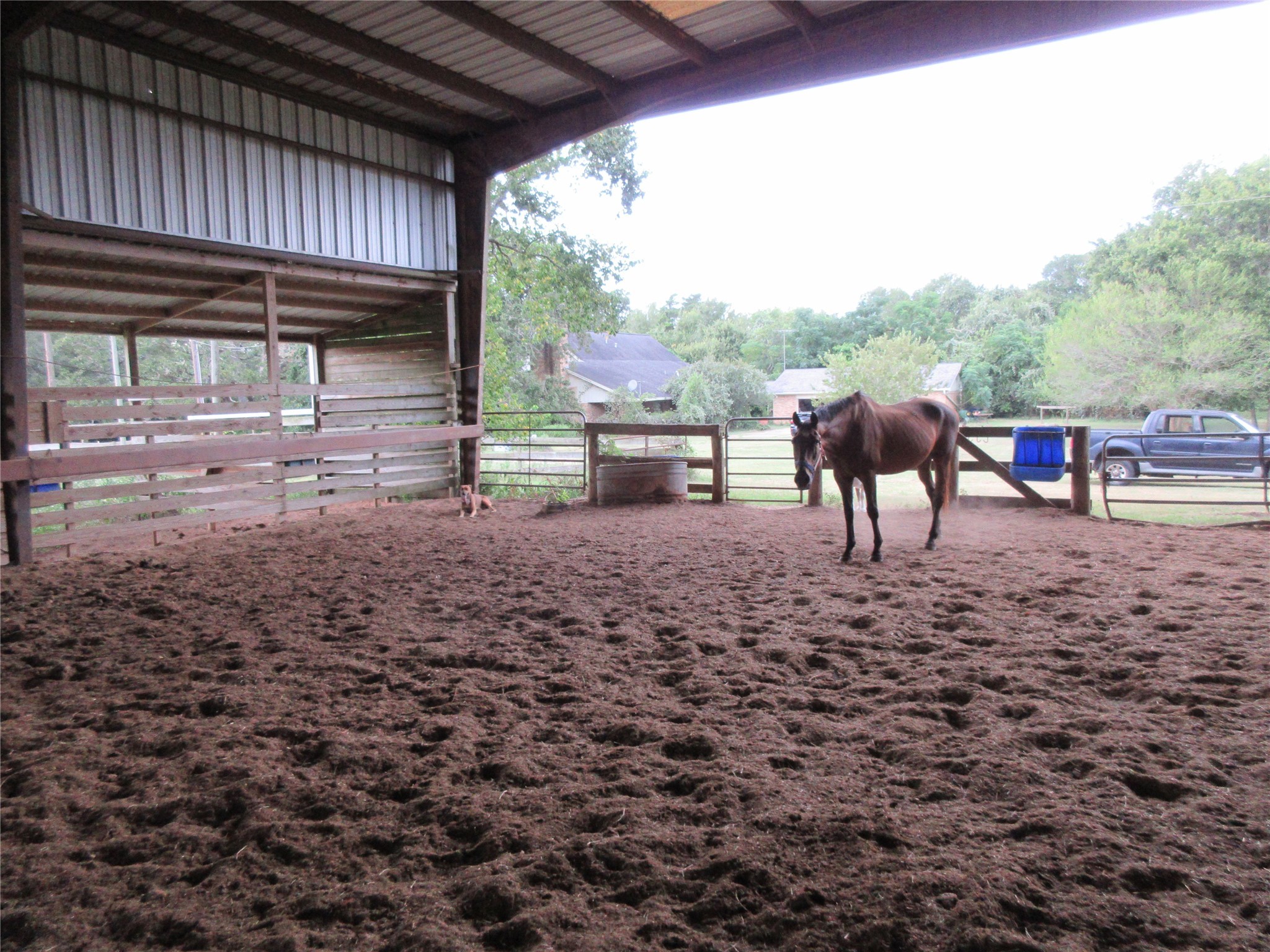0 Clapp Pattison, TX 77423 - Photo 7 of 8 a view of yard with patio