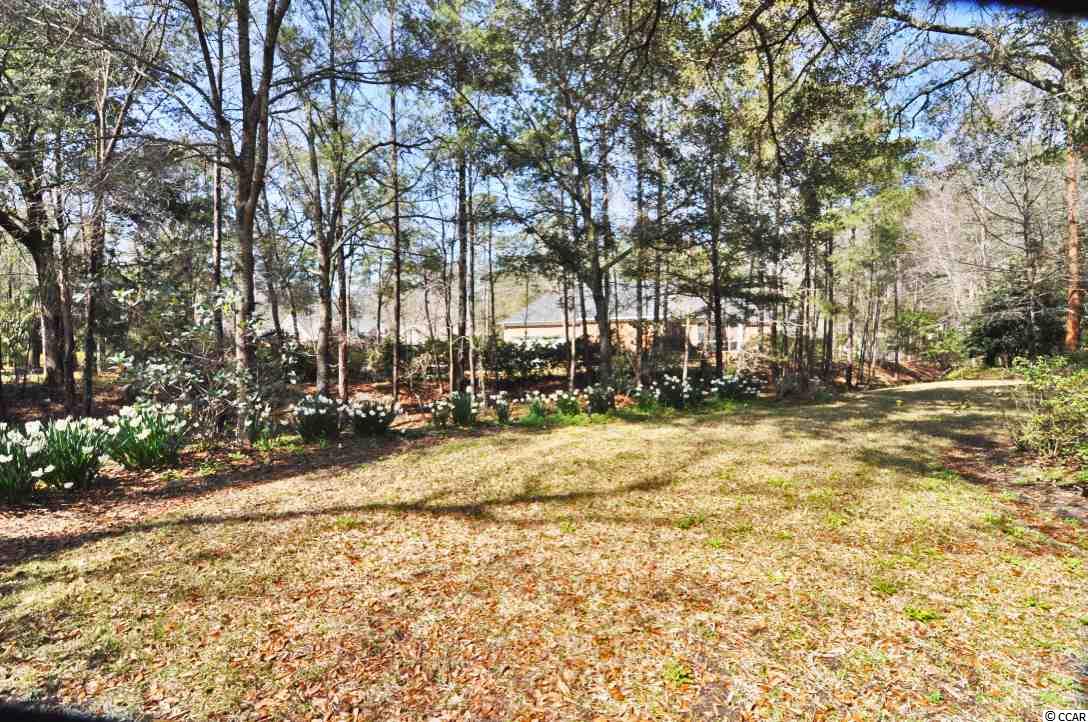 4496 Canter Lane Murrells Inlet, SC 29576 - Photo 30 of 40 Gallery Image 30