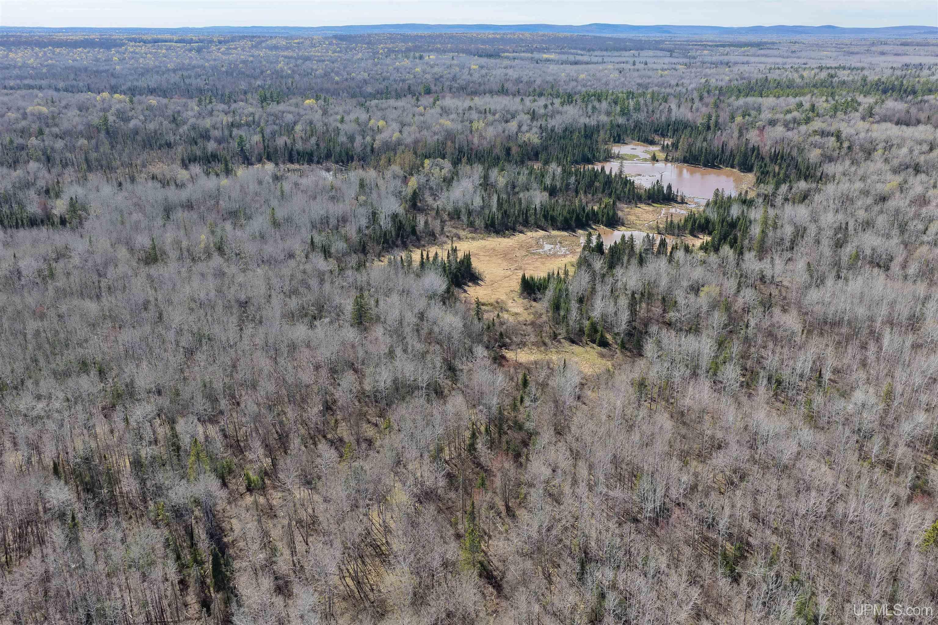 Tbd Tbd Burma Road Ewen, MI 49925 - Photo 3 of 18