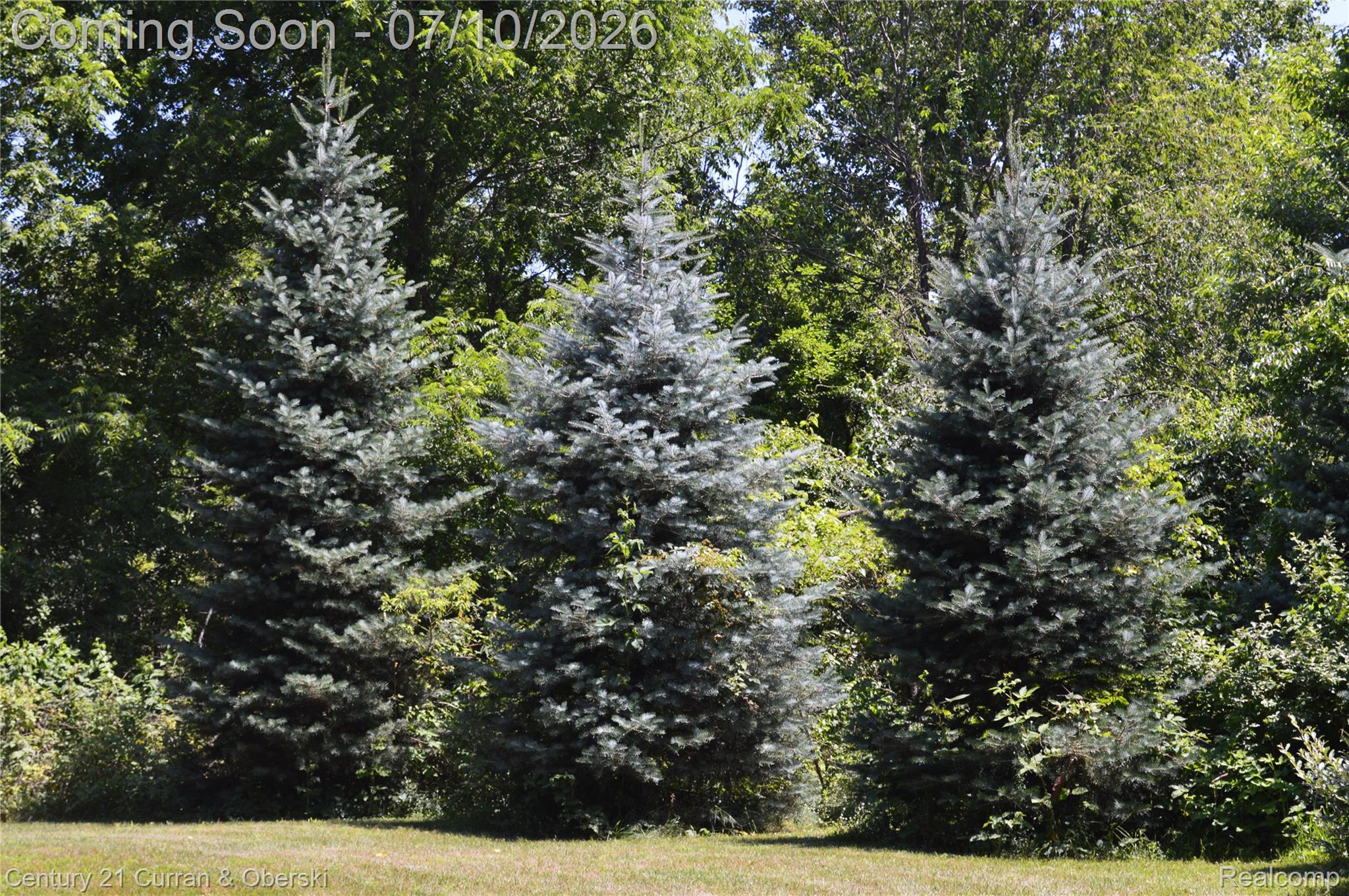13505 Island Lake Road Chelsea, MI 48118 - Photo 22 of 23 DSC_0930.JPG