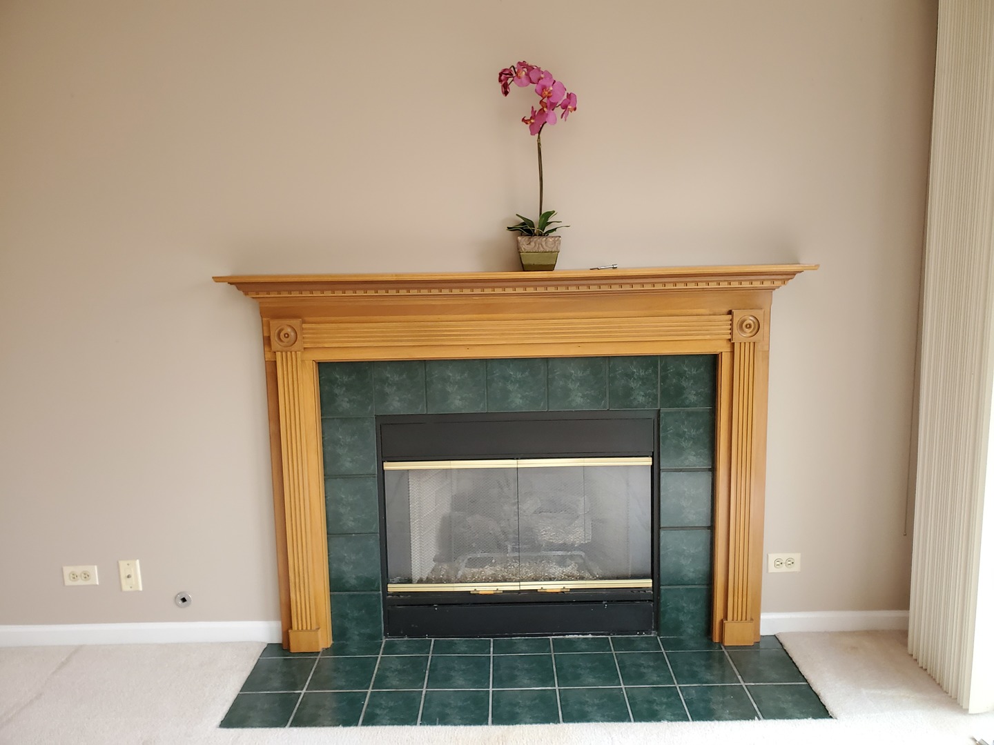8225 Ripple Ridge, Unit 8225 Darien, IL 60561 - Photo 11 of 21 a closeup of a fireplace