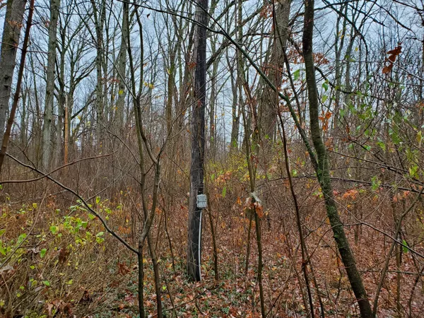 $55,000 | 998 East Monroe Street, White Cloud, MI 49349