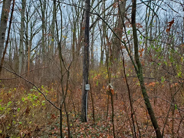 $55,000 | 998 East Monroe Street, White Cloud, MI 49349