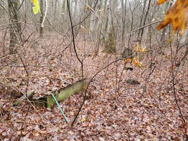 $55,000 | 998 East Monroe Street, White Cloud, MI 49349