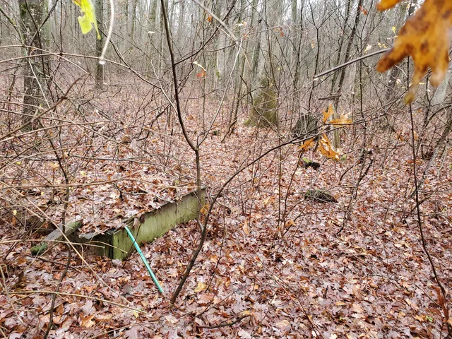 $55,000 | 998 East Monroe Street, White Cloud, MI 49349