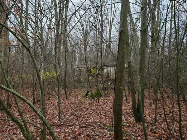 $55,000 | 998 East Monroe Street, White Cloud, MI 49349