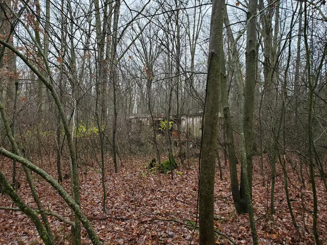 $55,000 | 998 East Monroe Street, White Cloud, MI 49349