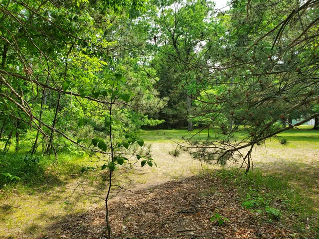 $55,000 | 998 East Monroe Street, White Cloud, MI 49349