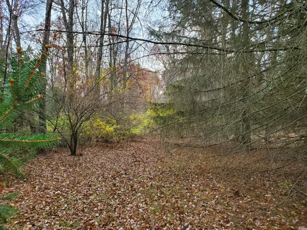 $55,000 | 998 East Monroe Street, White Cloud, MI 49349