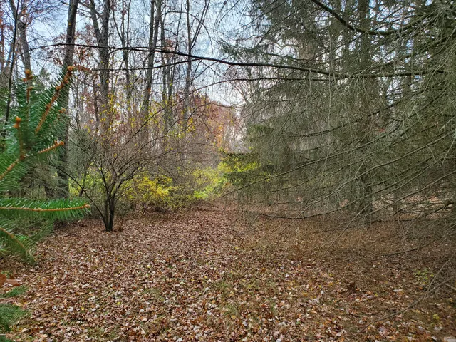 $55,000 | 998 East Monroe Street, White Cloud, MI 49349