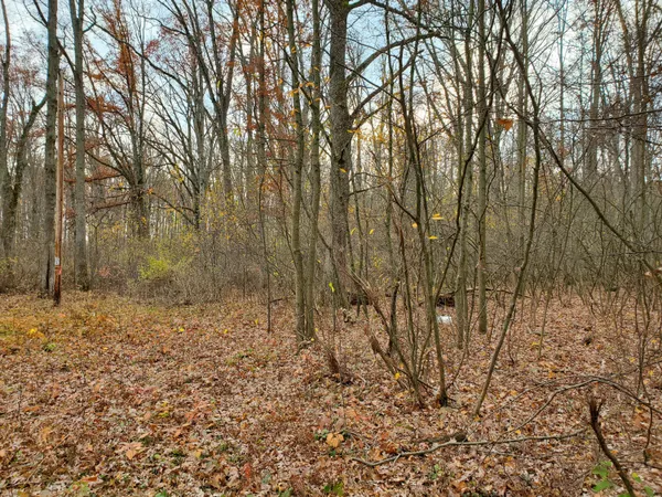 $55,000 | 998 East Monroe Street, White Cloud, MI 49349