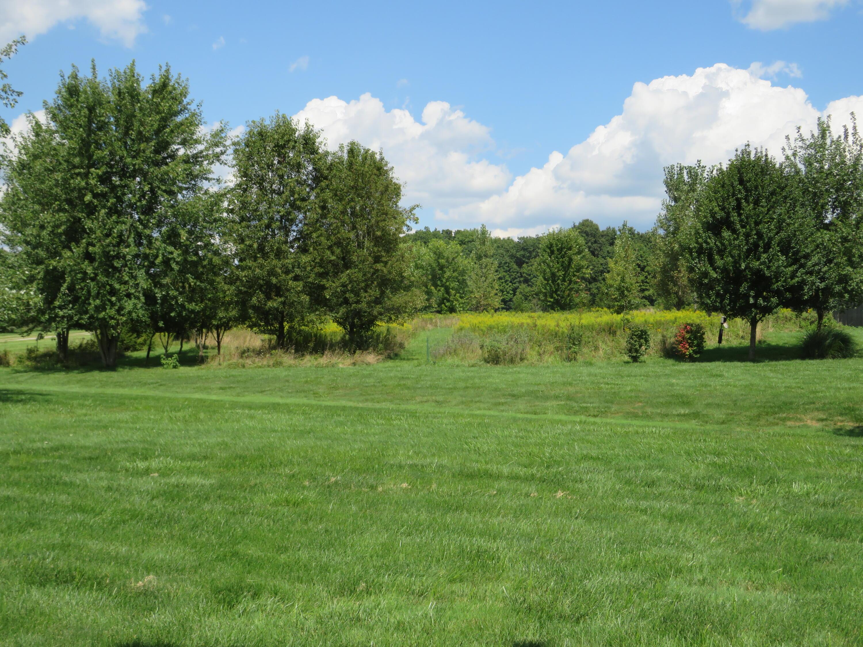 6915 Plumb Road Galena, OH 43021 - Photo 40 of 45 Gallery Image 40