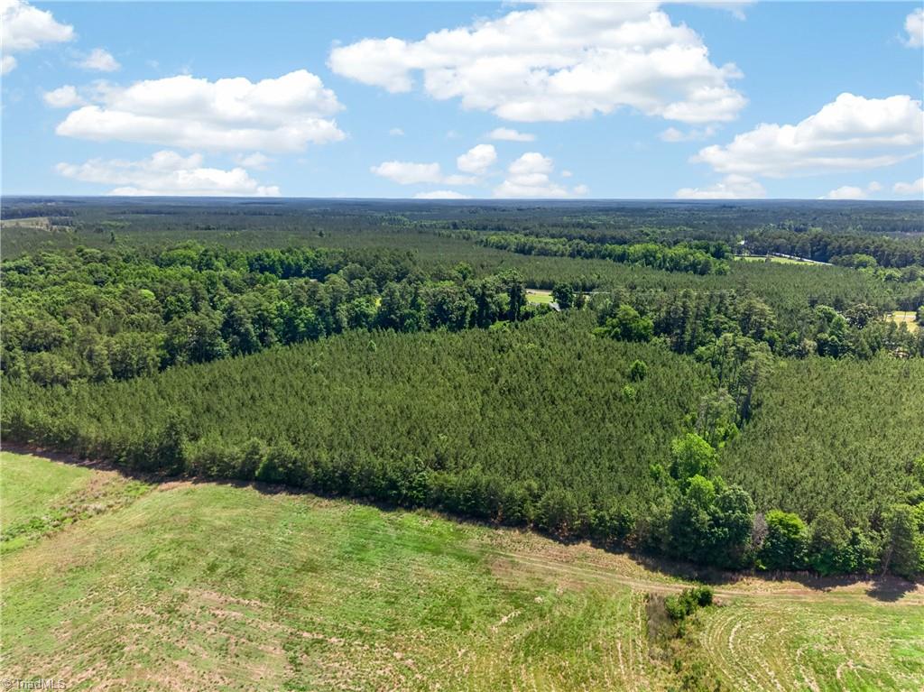 1864 Cotton Creek Road Biscoe, NC 27209 - Photo 42 of 47