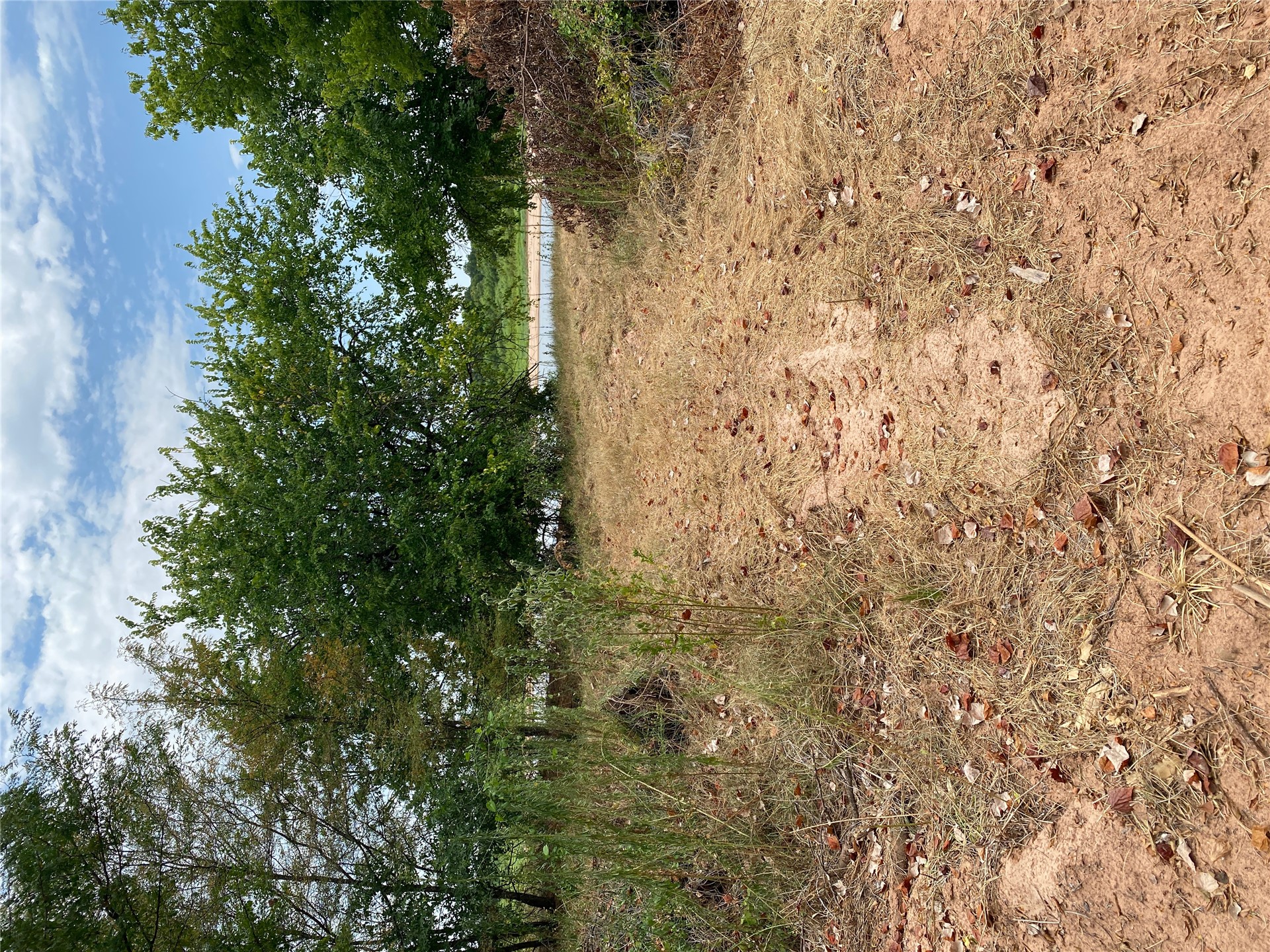 0 Mac Frazier Road Leon, OK 73441 - Photo 3 of 28 Gallery Image 3