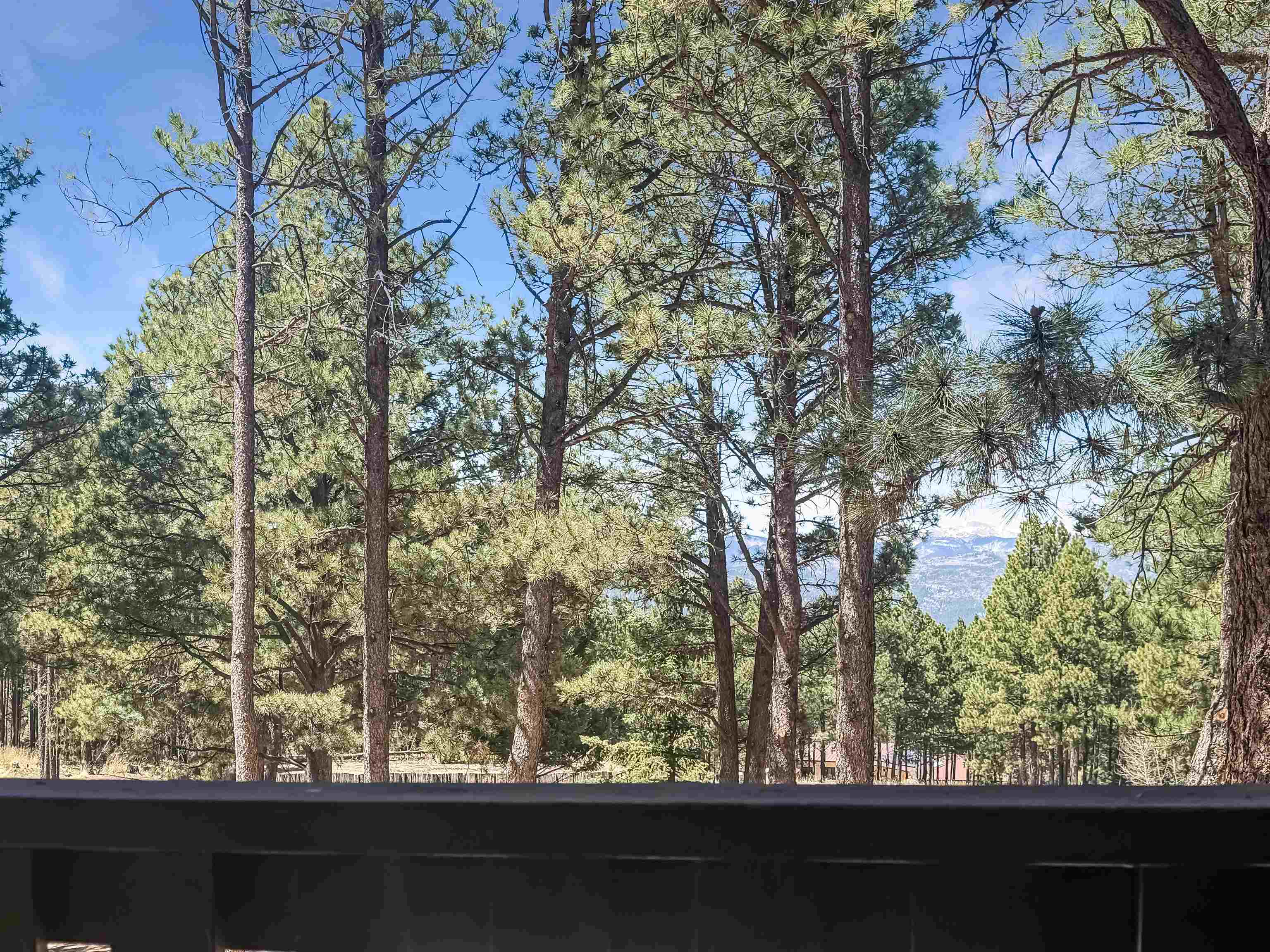 64 Mammoth Mountain Road, Unit 215 Angel Fire, NM 87710 - Photo 31 of 31 Gallery Image 31