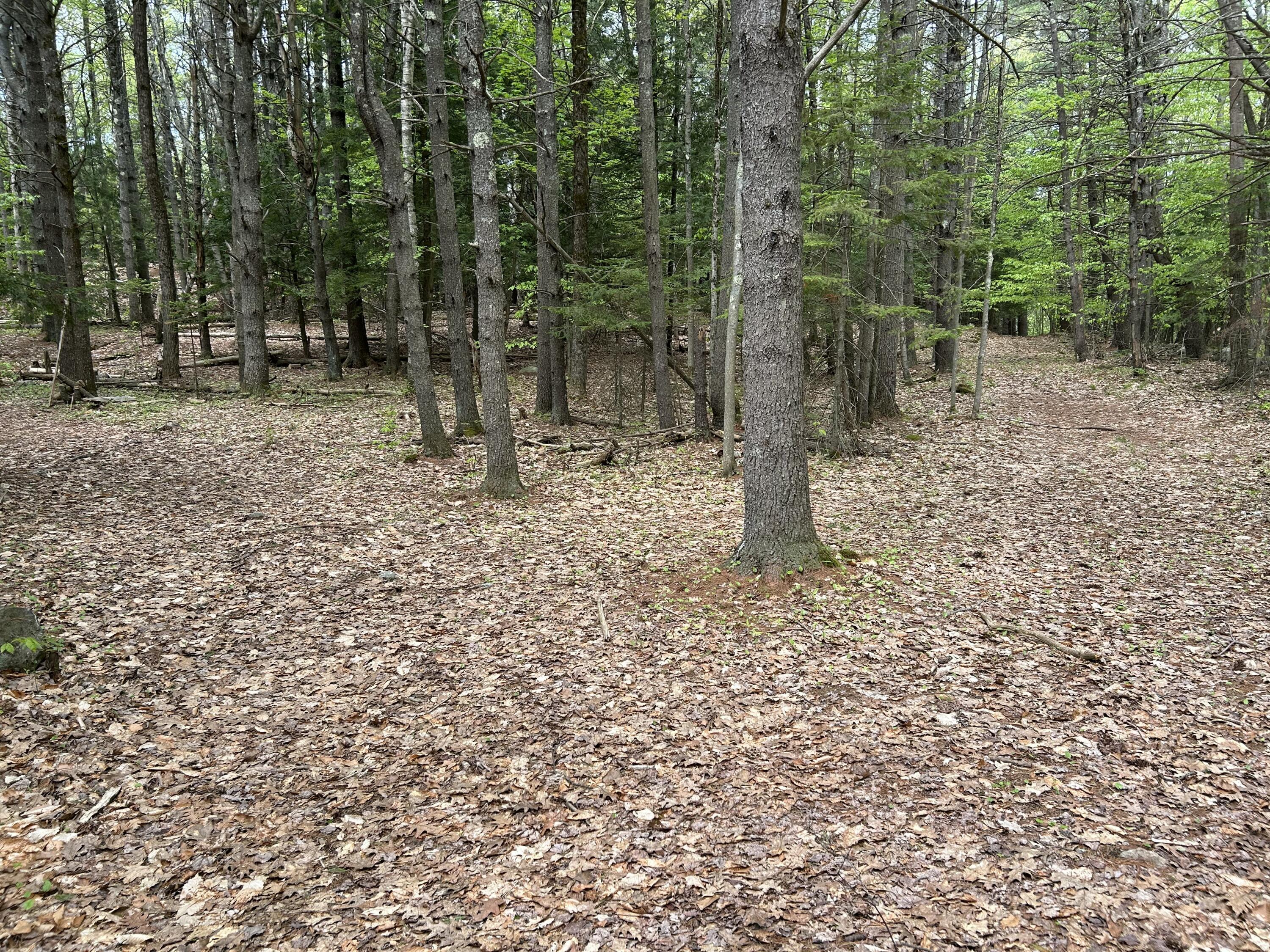 281 Randall Road Lewiston, ME 04240 - Photo 3 of 31