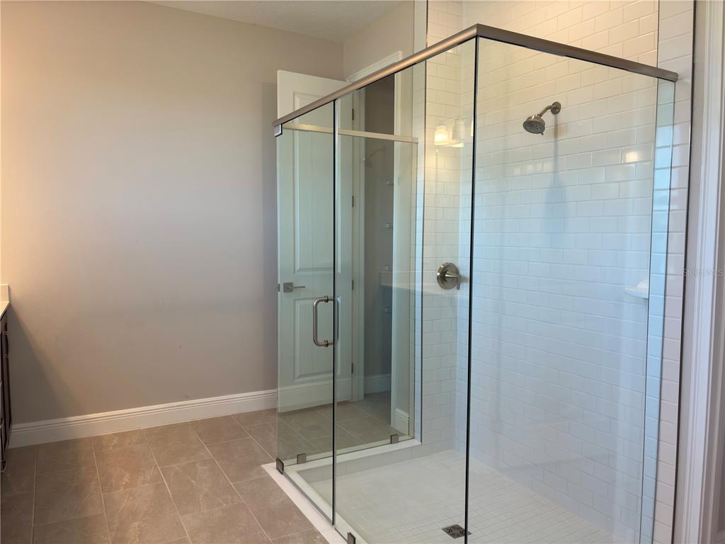 10037 Hidden Hammock Loop Parrish, FL 34221 - Photo 16 of 19 a bathroom that has a glass shower door