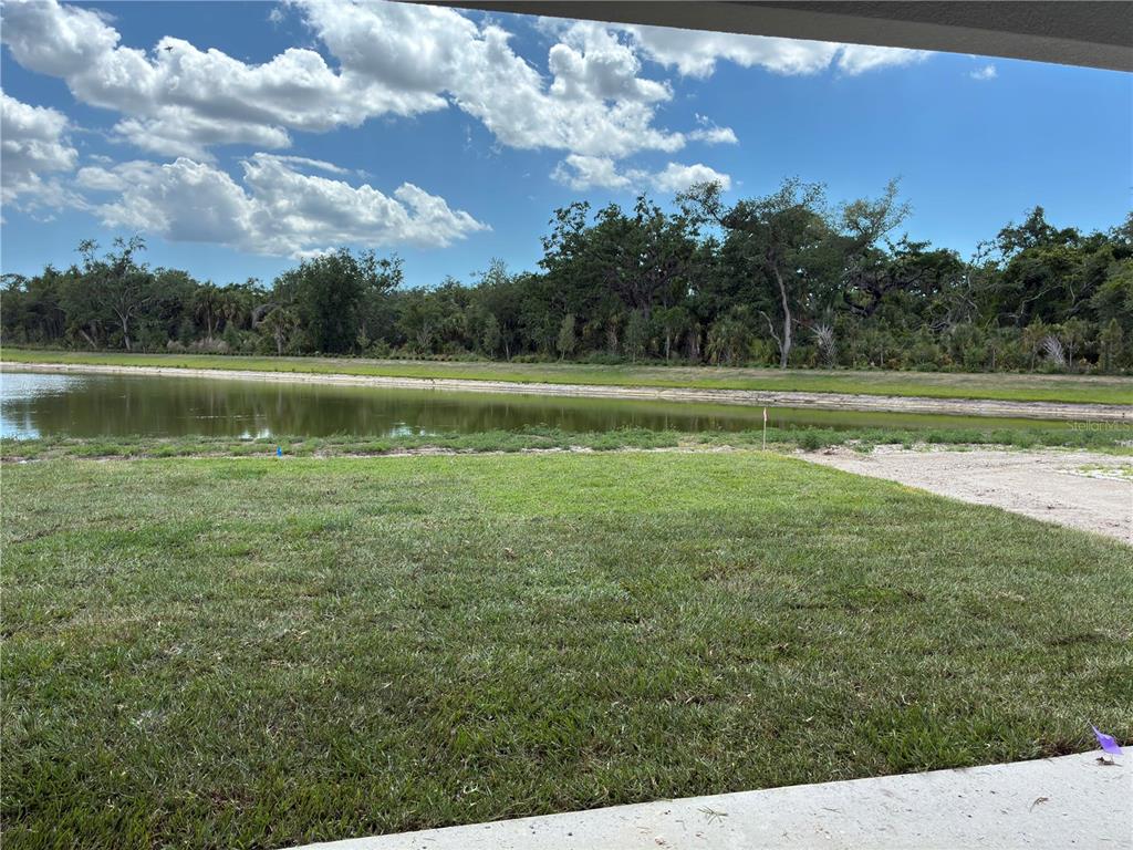 10037 Hidden Hammock Loop Parrish, FL 34221 - Photo 18 of 19 a view of a lake from a yard