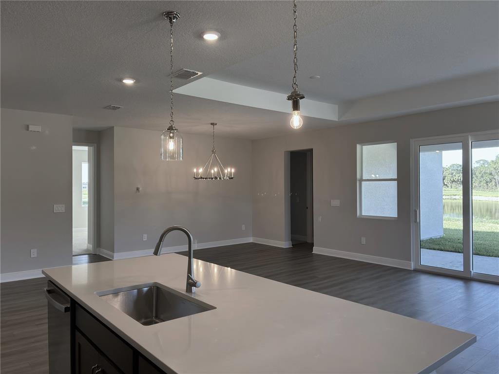 10037 Hidden Hammock Loop Parrish, FL 34221 - Photo 9 of 19 a kitchen with a sink and chandelier