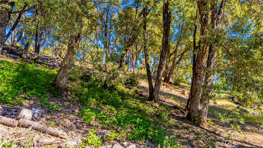0 3 Springs Road Oakhurst, CA 93644 - Photo 11 of 20