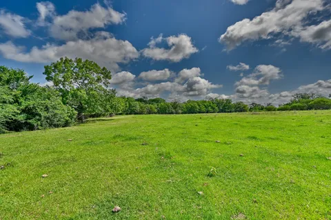 a view of a lush green space