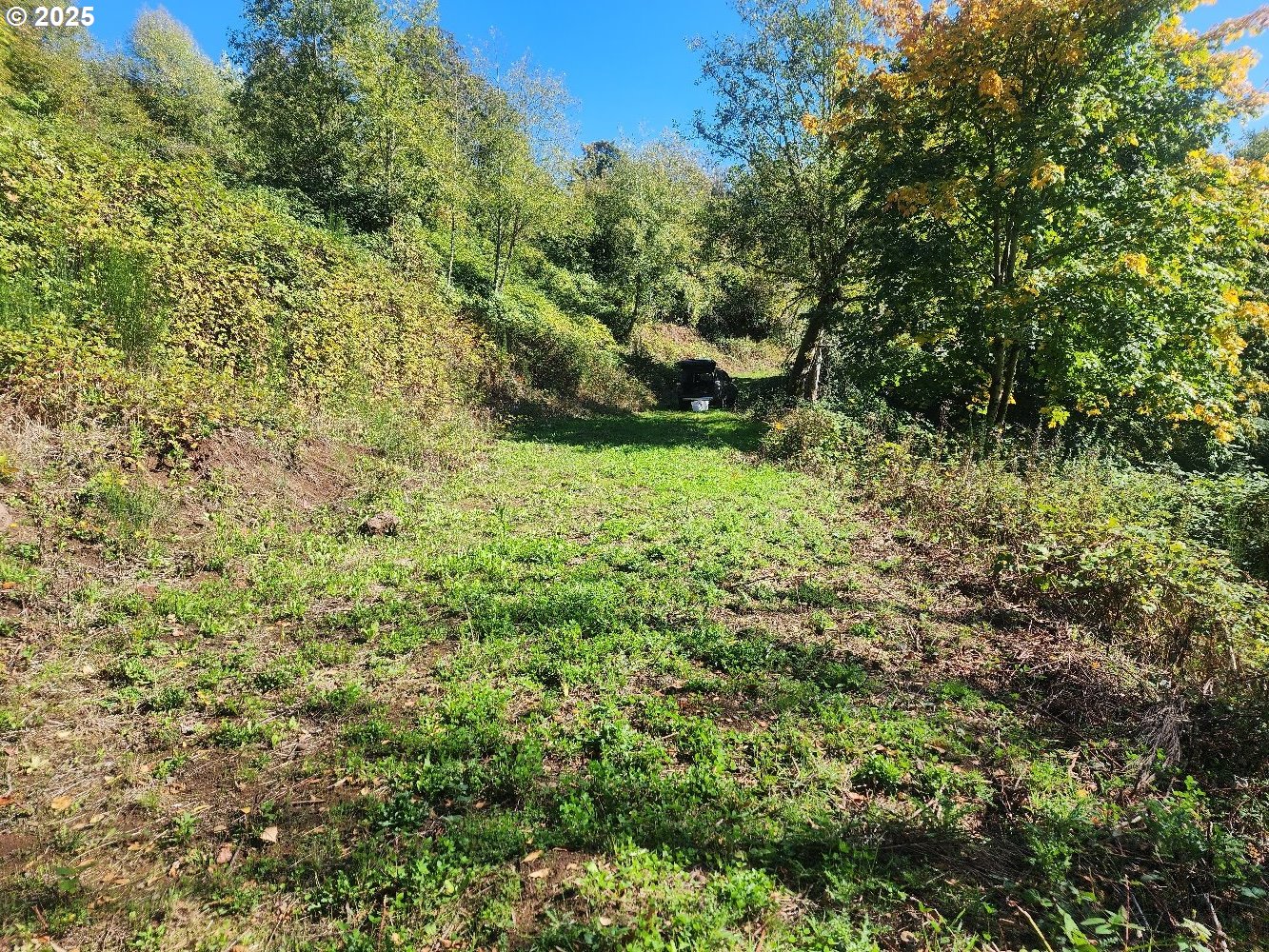 4733 Green Mountain Road Kalama, WA 98625 - Photo 11 of 16