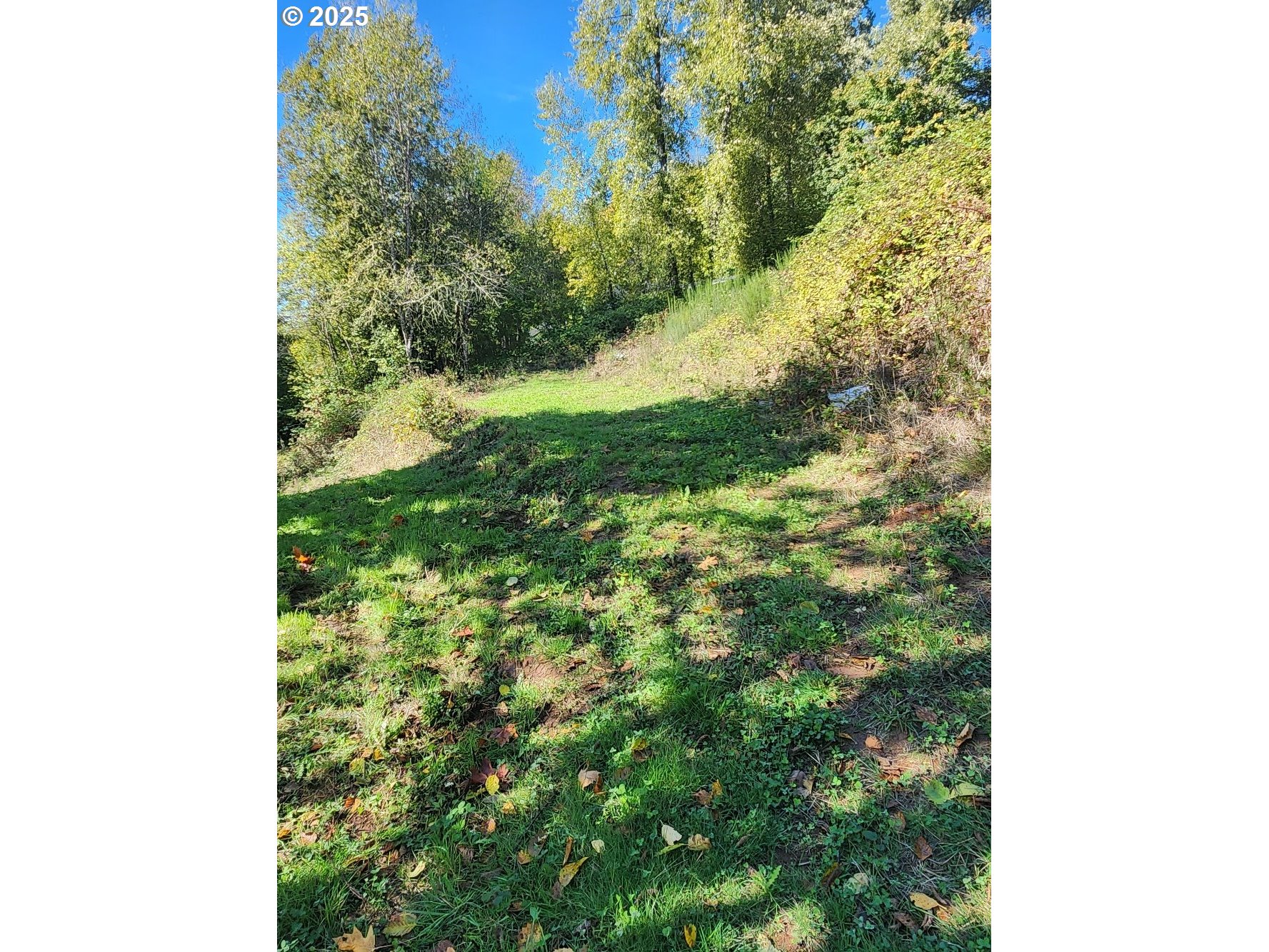 4733 Green Mountain Road Kalama, WA 98625 - Photo 12 of 16