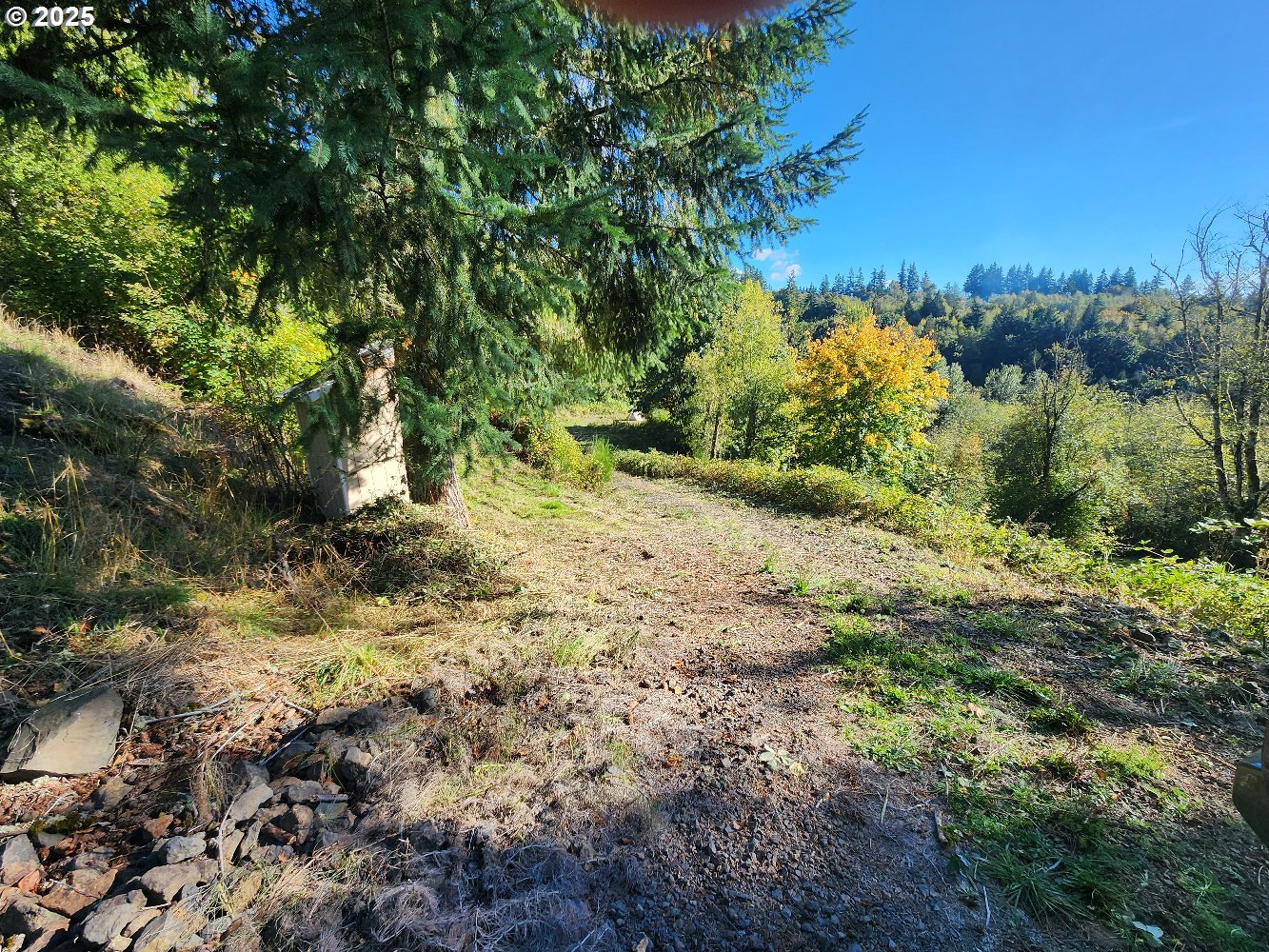 4733 Green Mountain Road Kalama, WA 98625 - Photo 13 of 16