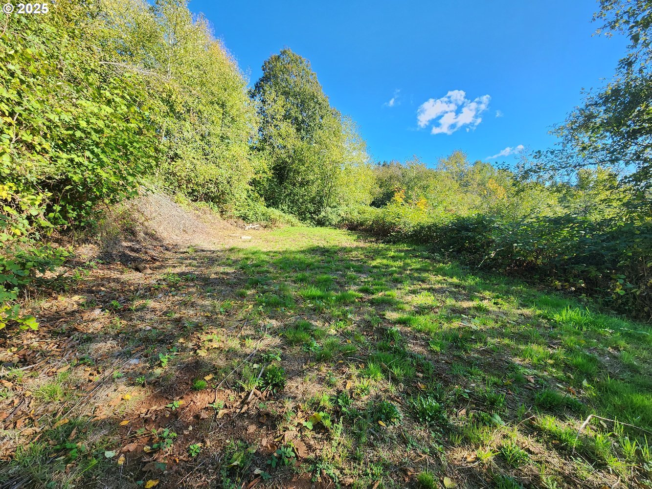 4733 Green Mountain Road Kalama, WA 98625 - Photo 14 of 16