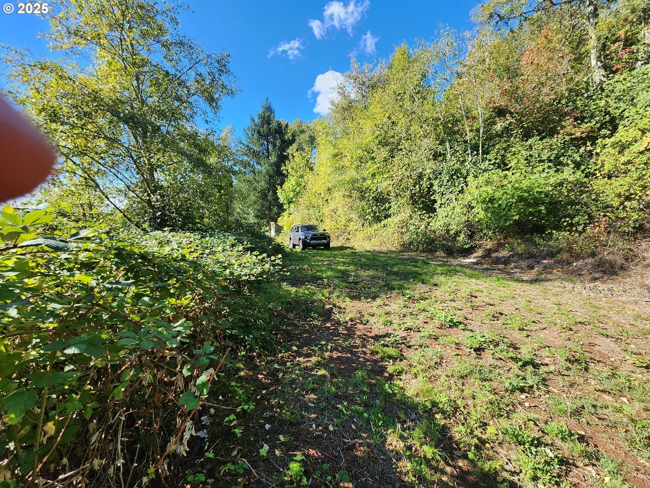 4733 Green Mountain Road Kalama, WA 98625 - Photo 15 of 16