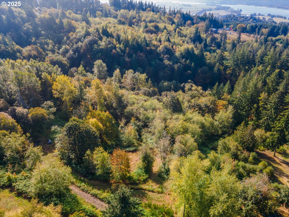 4733 Green Mountain Road Kalama, WA 98625 - Photo 4 of 16