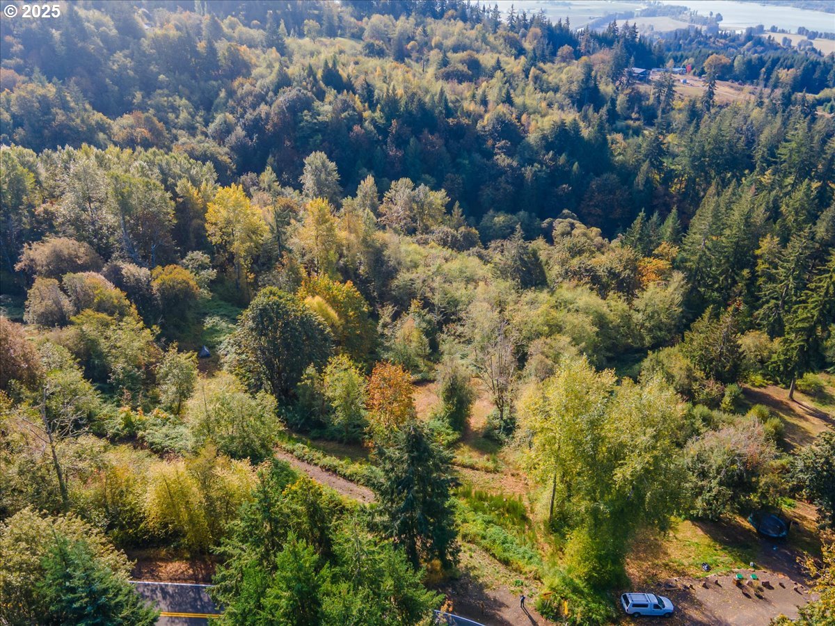 4733 Green Mountain Road Kalama, WA 98625 - Photo 5 of 16