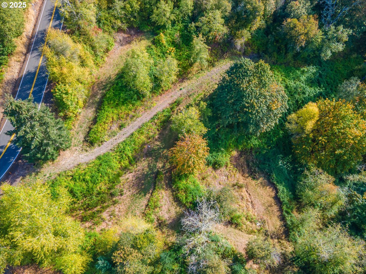 4733 Green Mountain Road Kalama, WA 98625 - Photo 6 of 16