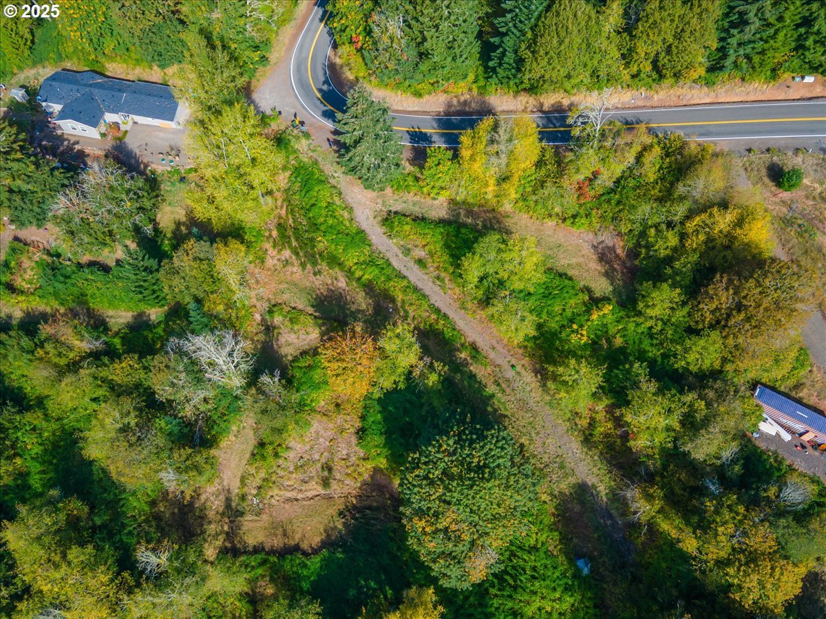 4733 Green Mountain Road Kalama, WA 98625 - Photo 7 of 16