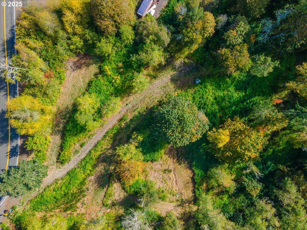 4733 Green Mountain Road Kalama, WA 98625 - Photo 8 of 16