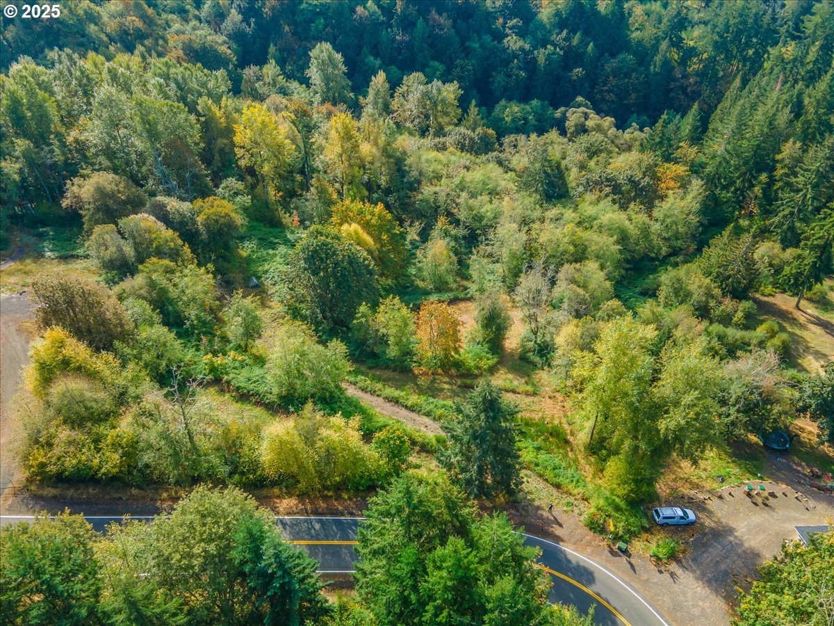 4733 Green Mountain Road Kalama, WA 98625 - Photo 9 of 16