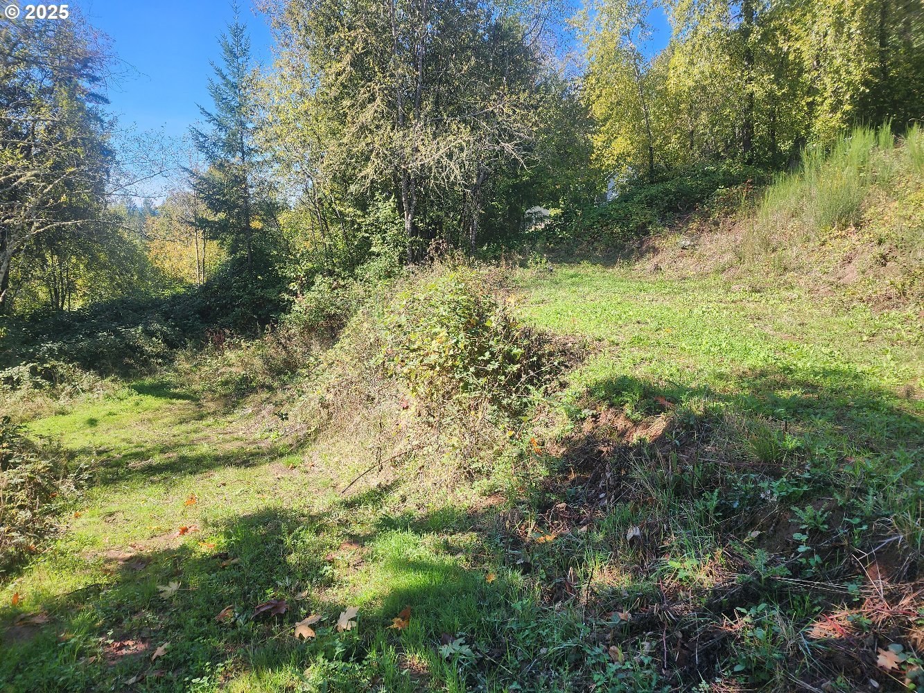 4733 Green Mountain Road Kalama, WA 98625 - Photo 10 of 16