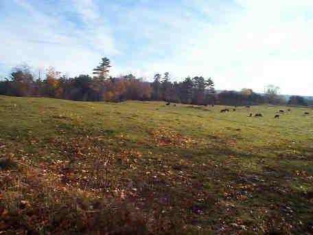 92 County Road New Marlborough, MA 01230 - Photo 1 of 3 Primary Photo