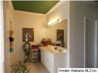 103 Hickory Ridge Road Oneonta, AL 35121 - Photo 20 of 24