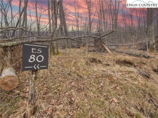 a view of street sign under a large tree