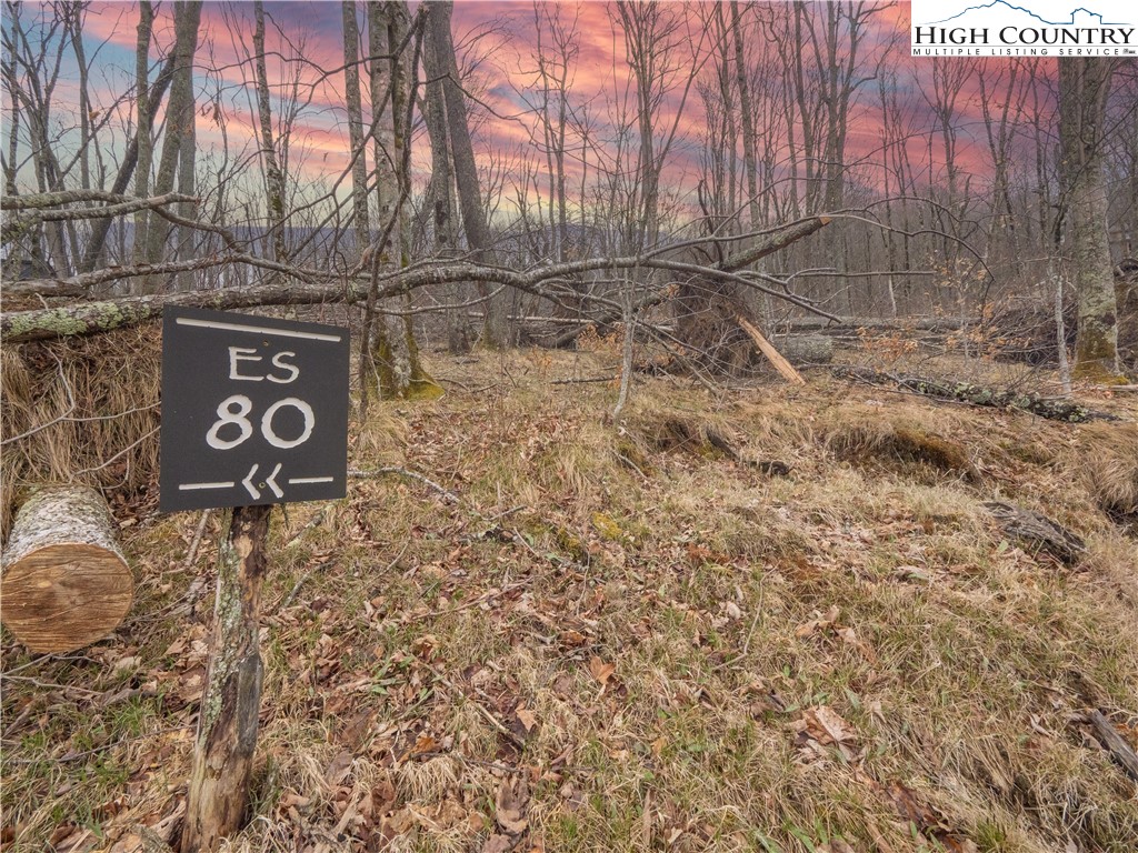 80 Lands End Trail Banner Elk, NC 28604 - Photo 1 of 31 a view of street sign under a large tree