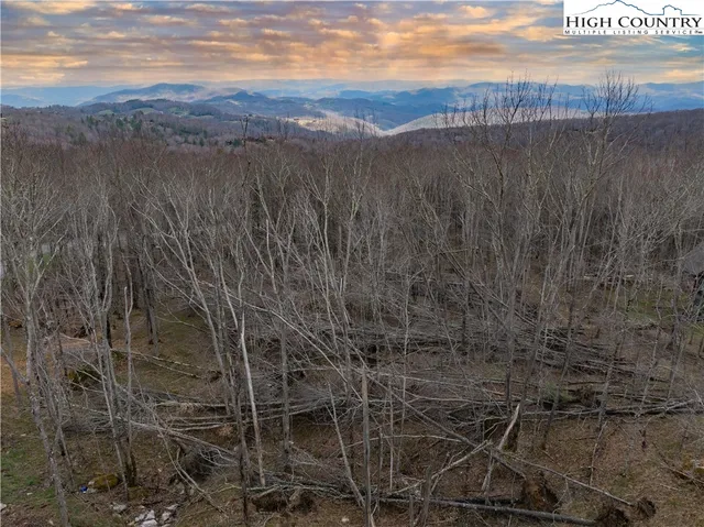 a view of a dry yard with wooden fence