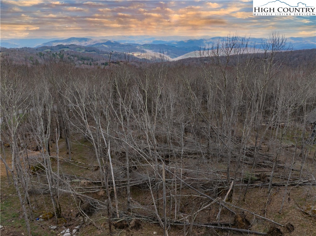 80 Lands End Trail Banner Elk, NC 28604 - Photo 2 of 31 a view of a dry yard with wooden fence